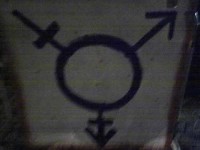 Transphobia in the LGB community